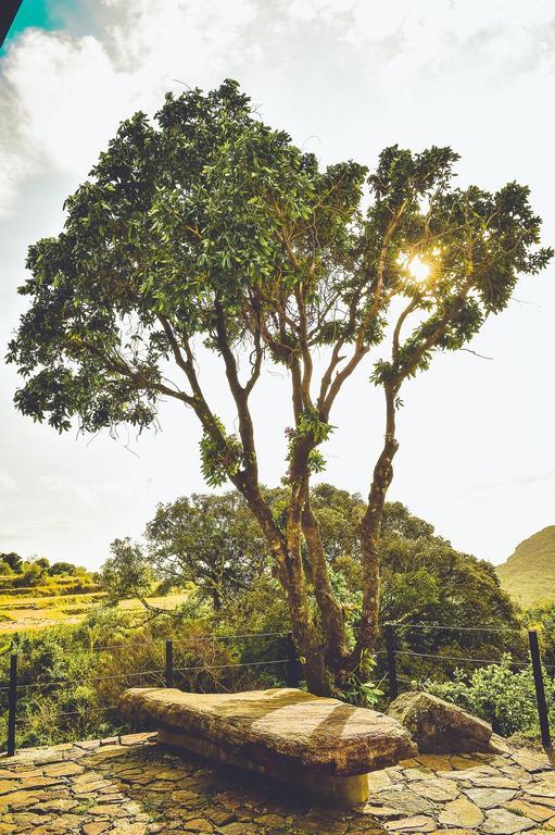 Mountain Villa Riverston Matale Buitenkant foto